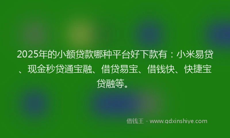2025年的小额贷款哪种平台好下款有：小米易贷、现金秒贷通宝融、借贷易宝、借钱快、快捷宝贷融等。
