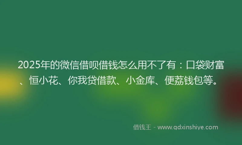 2025年的微信借呗借钱怎么用不了有：口袋财富、恒小花、你我贷借款、小金库、便荔钱包等。