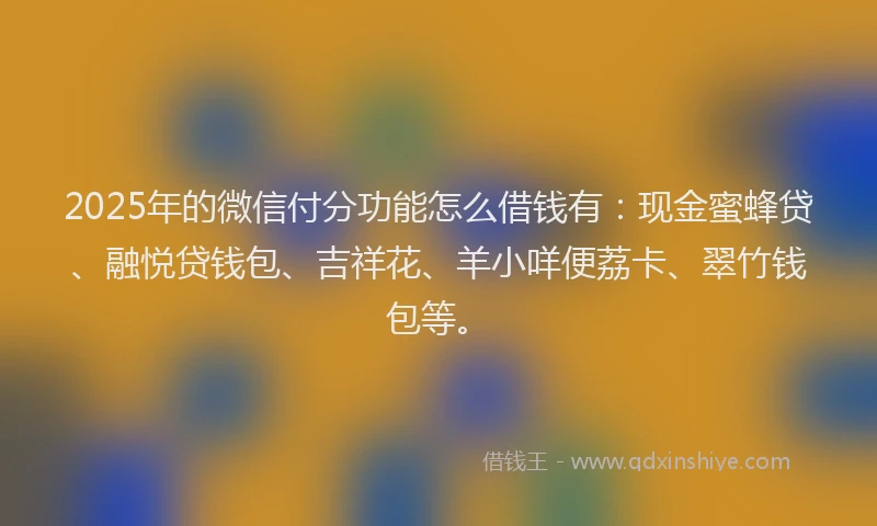 2025年的微信付分功能怎么借钱有：现金蜜蜂贷、融悦贷钱包、吉祥花、羊小咩便荔卡、翠竹钱包等。