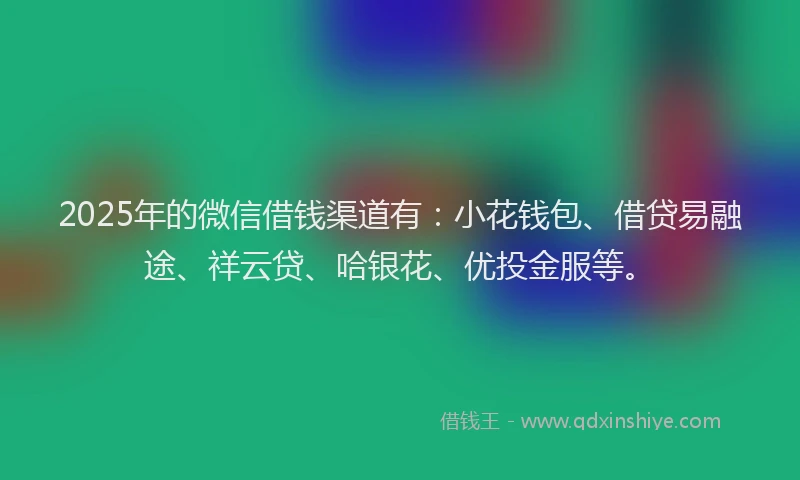 2025年的微信借钱渠道有：小花钱包、借贷易融途、祥云贷、哈银花、优投金服等。