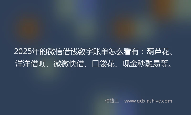 2025年的微信借钱数字账单怎么看有：葫芦花、洋洋借呗、微微快借、口袋花、现金秒融易等。