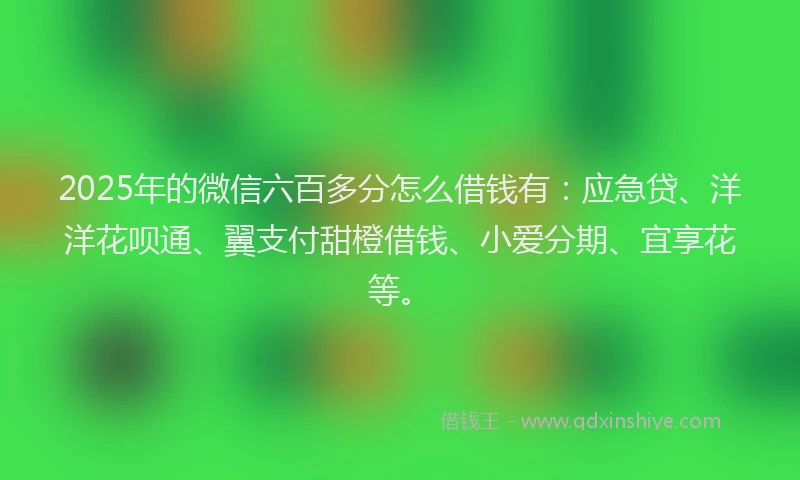 2025年的微信六百多分怎么借钱有：应急贷、洋洋花呗通、翼支付甜橙借钱、小爱分期、宜享花等。