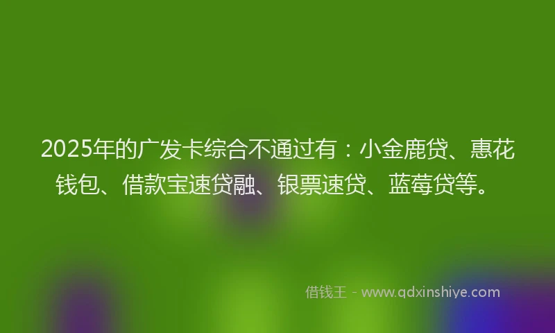 2025年的广发卡综合不通过有:小金鹿贷、惠花钱包、借款宝速贷融、银票速贷、蓝莓贷等。