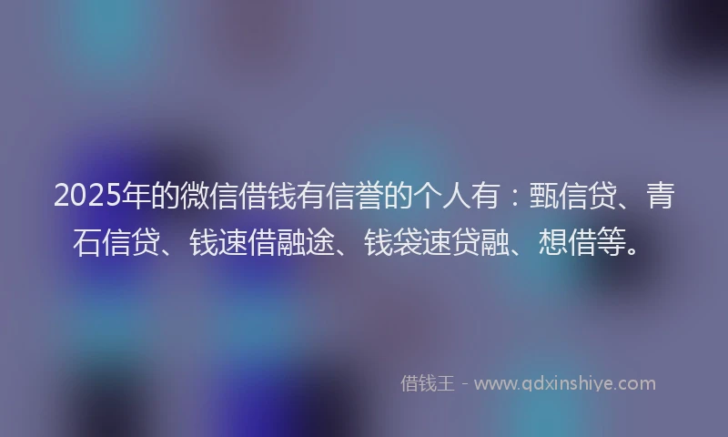 2025年的微信借钱有信誉的个人有：甄信贷、青石信贷、钱速借融途、钱袋速贷融、想借等。
