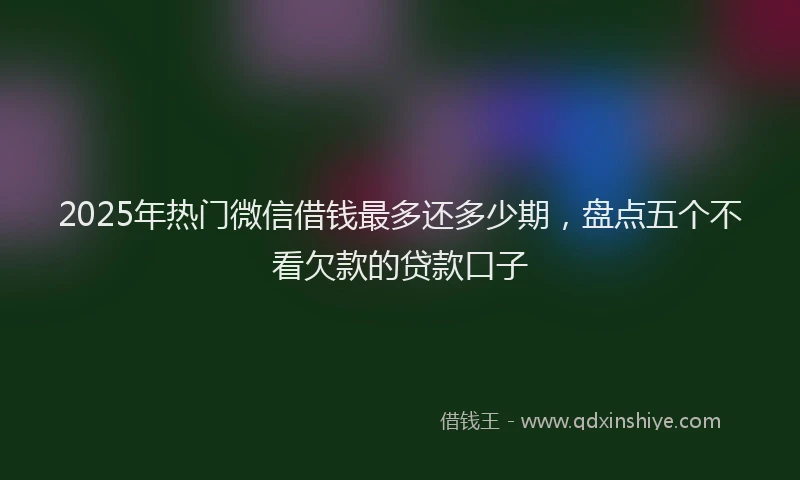 2025年热门微信借钱最多还多少期,盘点五个不看欠款的贷款口子