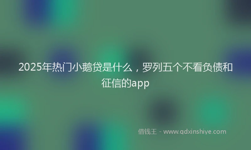 2025年热门小鹅贷是什么，罗列五个不看负债和征信的app