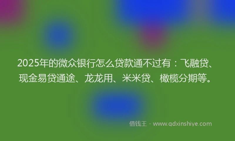 2025年的微众银行怎么贷款通不过有：飞融贷、现金易贷通途、龙龙用、米米贷、橄榄分期等。