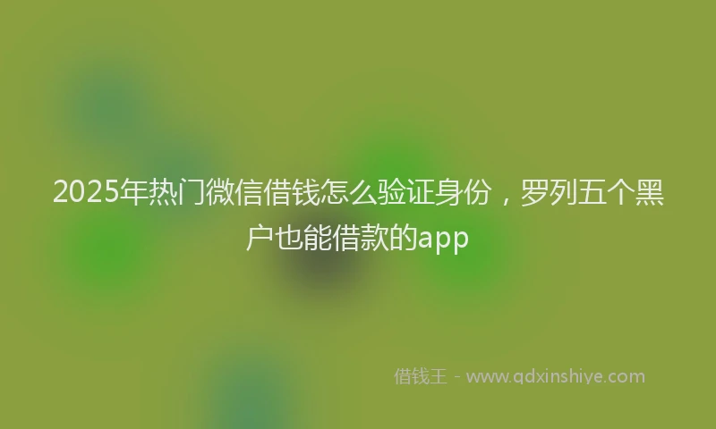 2025年热门微信借钱怎么验证身份，罗列五个黑户也能借款的app