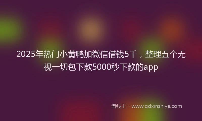 2025年热门小黄鸭加微信借钱5千，整理五个无视一切包下款5000秒下款的app