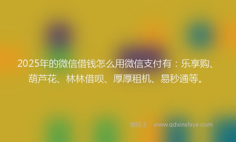 2025年的微信借钱怎么用微信支付有:乐享购、葫芦花、林林借呗、厚厚租机、易秒通等。