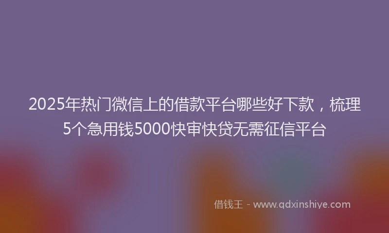 2025年热门微信上的借款平台哪些好下款，梳理5个急用钱5000快审快贷无需征信平台