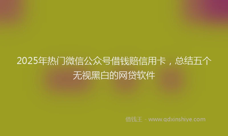 2025年热门微信公众号借钱赔信用卡，总结五个无视黑白的网贷软件