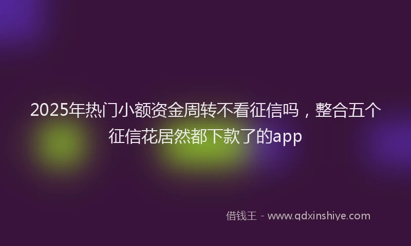 2025年热门小额资金周转不看征信吗，整合五个征信花居然都下款了的app
