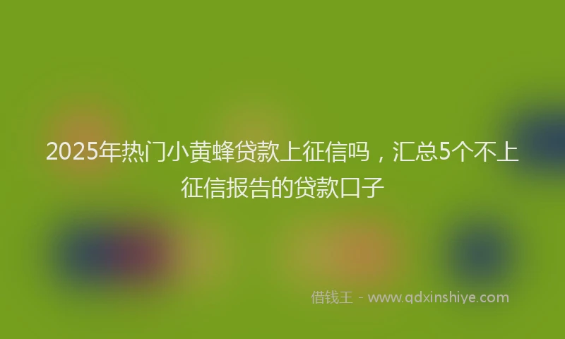 2025年热门小黄蜂贷款上征信吗，汇总5个不上征信报告的贷款口子