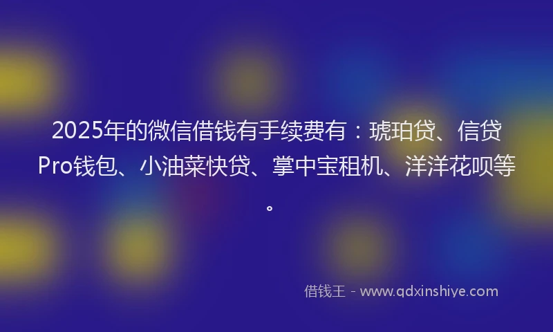 2025年的微信借钱有手续费有：琥珀贷、信贷Pro钱包、小油菜快贷、掌中宝租机、洋洋花呗等。