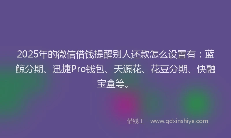 2025年的微信借钱提醒别人还款怎么设置有：蓝鲸分期、迅捷Pro钱包、天源花、花豆分期、快融宝盒等。