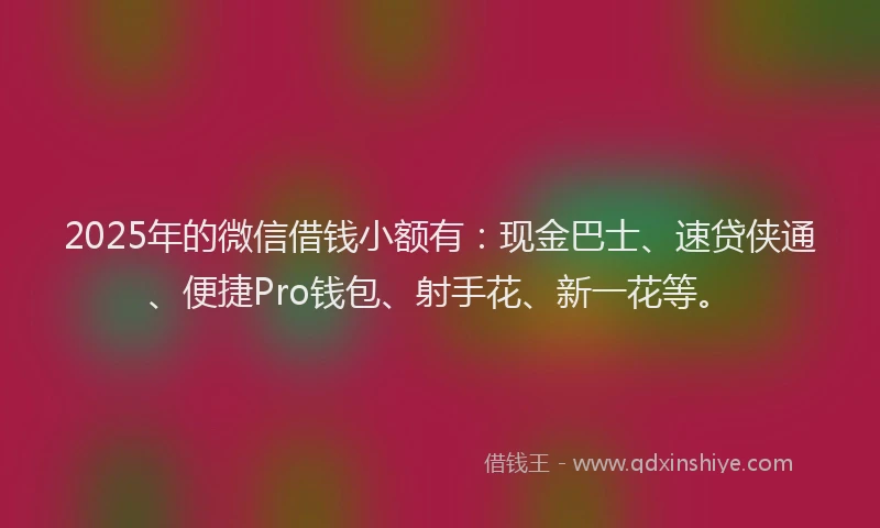 2025年的微信借钱小额有:现金巴士、速贷侠通、便捷Pro钱包、射手花、新一花等。