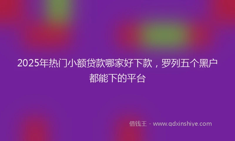 2025年热门小额贷款哪家好下款，罗列五个黑户都能下的平台