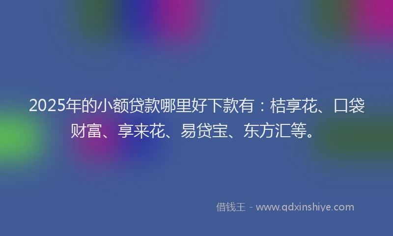 2025年的小额贷款哪里好下款有：桔享花、口袋财富、享来花、易贷宝、东方汇等。