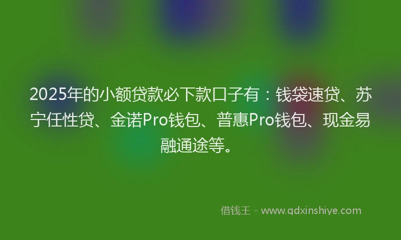 2025年的小额贷款必下款口子有：钱袋速贷、苏宁任性贷、金诺Pro钱包、普惠Pro钱包、现金易融通途等。