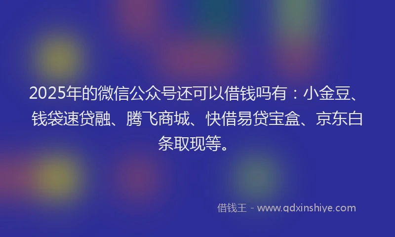 2025年的微信公众号还可以借钱吗有：小金豆、钱袋速贷融、腾飞商城、快借易贷宝盒、京东白条取现等。