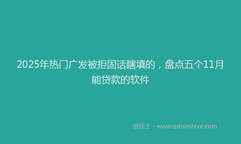2025年热门广发被拒固话瞎填的，盘点五个11月能贷款的软件