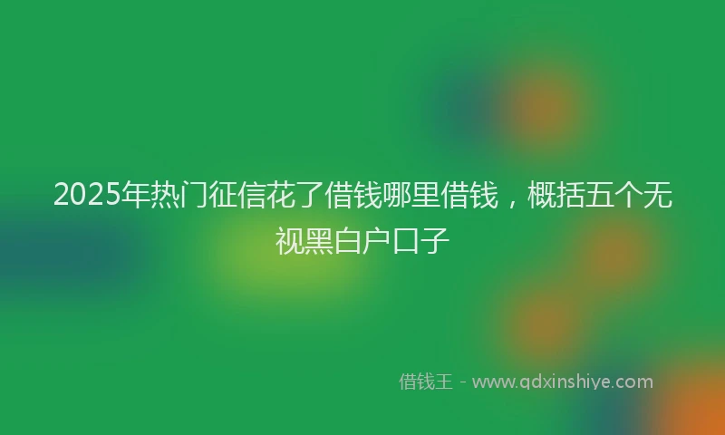 2025年热门征信花了借钱哪里借钱，概括五个无视黑白户口子