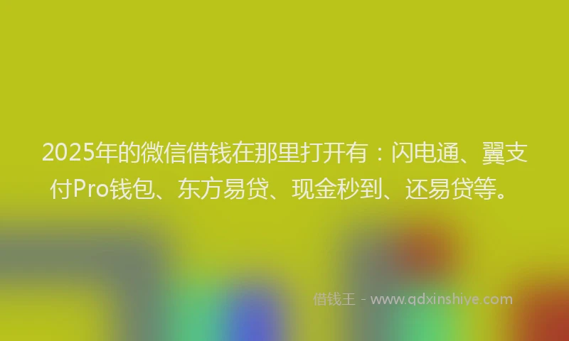 2025年的微信借钱在那里打开有：闪电通、翼支付Pro钱包、东方易贷、现金秒到、还易贷等。
