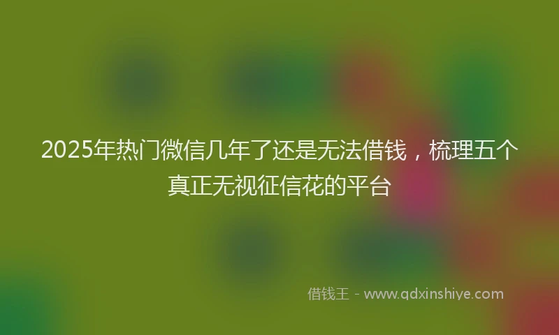 2025年热门微信几年了还是无法借钱，梳理五个真正无视征信花的平台