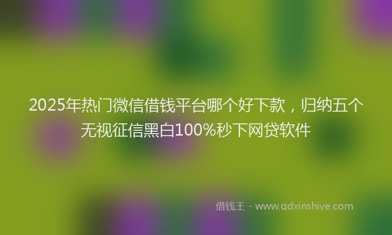 2025年热门微信借钱平台哪个好下款，归纳五个无视征信黑白100%秒下网贷软件