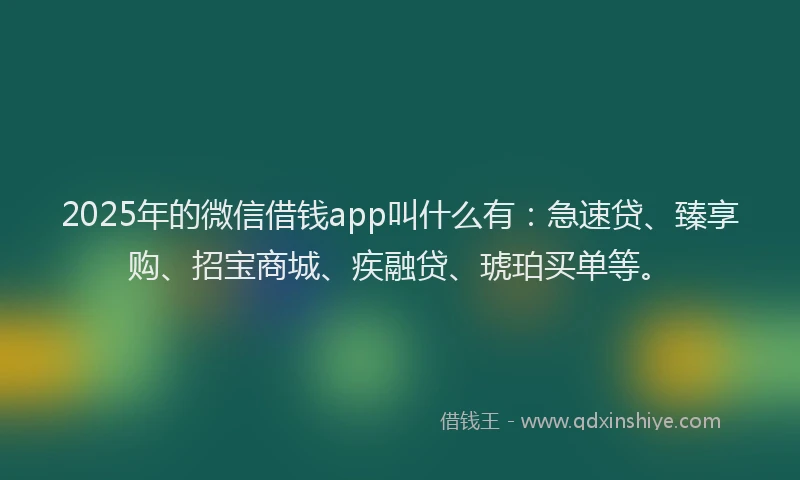 2025年的微信借钱app叫什么有：急速贷、臻享购、招宝商城、疾融贷、琥珀买单等。