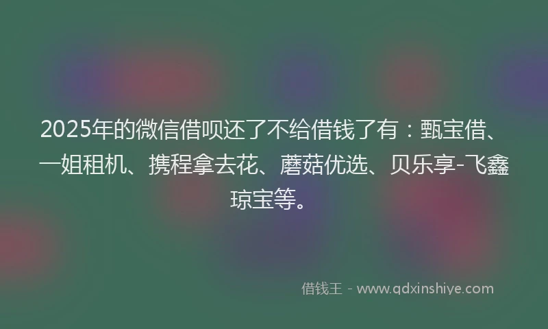 2025年的微信借呗还了不给借钱了有：甄宝借、一姐租机、携程拿去花、蘑菇优选、贝乐享-飞鑫琼宝等。