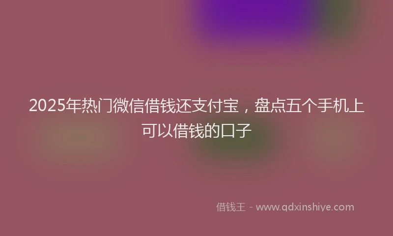 2025年热门微信借钱还支付宝，盘点五个手机上可以借钱的口子