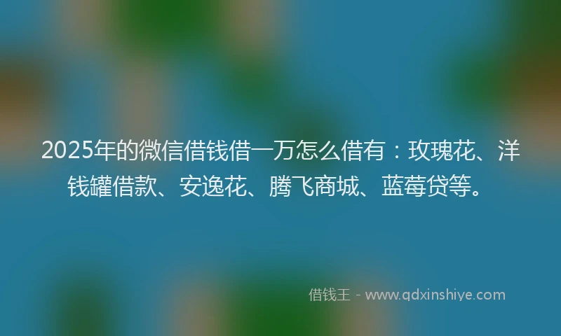 2025年的微信借钱借一万怎么借有：玫瑰花、洋钱罐借款、安逸花、腾飞商城、蓝莓贷等。