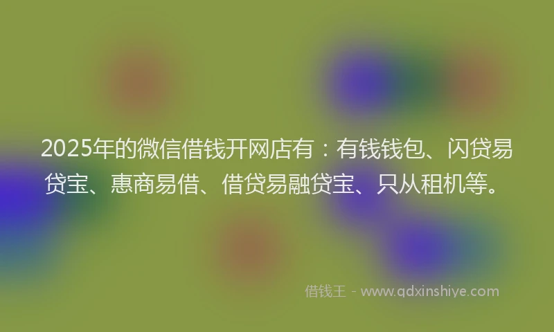 2025年的微信借钱开网店有：有钱钱包、闪贷易贷宝、惠商易借、借贷易融贷宝、只从租机等。