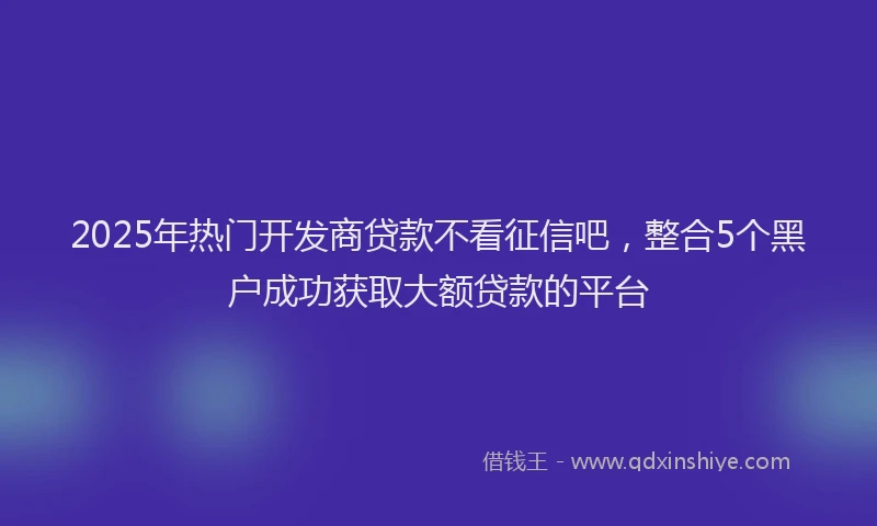 2025年热门开发商贷款不看征信吧，整合5个黑户成功获取大额贷款的平台