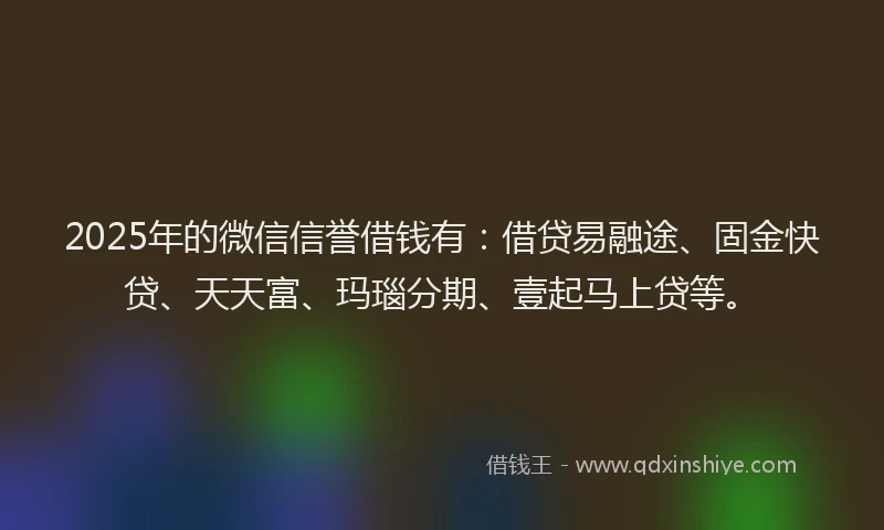 2025年的微信信誉借钱有：借贷易融途、固金快贷、天天富、玛瑙分期、壹起马上贷等。