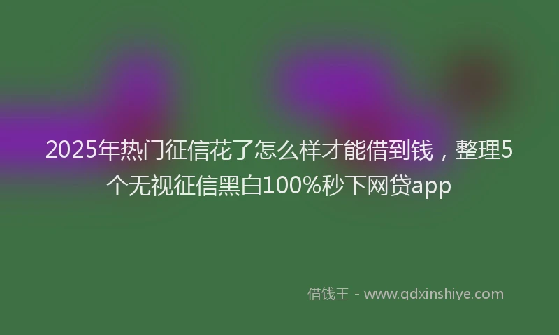 2025年热门征信花了怎么样才能借到钱，整理5个无视征信黑白100%秒下网贷app