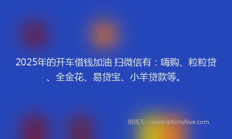 2025年的开车借钱加油 扫微信有:嗨购、粒粒贷、全金花、易贷宝、小羊贷款等。