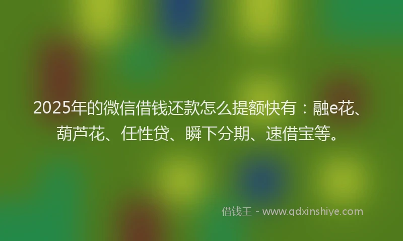 2025年的微信借钱还款怎么提额快有：融e花、葫芦花、任性贷、瞬下分期、速借宝等。