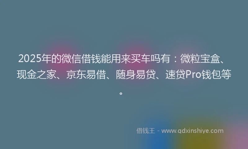 2025年的微信借钱能用来买车吗有：微粒宝盒、现金之家、京东易借、随身易贷、速贷Pro钱包等。