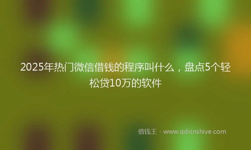 2025年热门微信借钱的程序叫什么，盘点5个轻松贷10万的软件