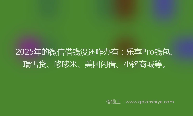 2025年的微信借钱没还咋办有：乐享Pro钱包、瑞雪贷、哆哆米、美团闪借、小铭商城等。