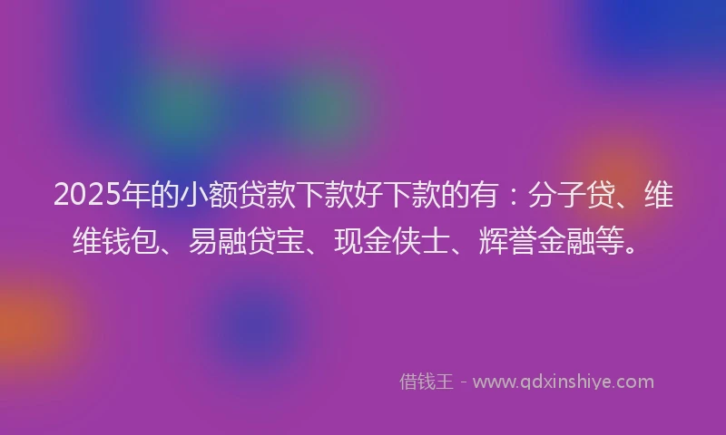 2025年的小额贷款下款好下款的有：分子贷、维维钱包、易融贷宝、现金侠士、辉誉金融等。