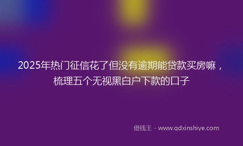 2025年热门征信花了但没有逾期能贷款买房嘛，梳理五个无视黑白户下款的口子