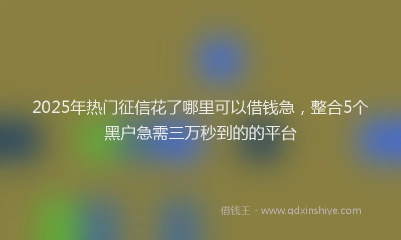 2025年热门征信花了哪里可以借钱急，整合5个黑户急需三万秒到的的平台