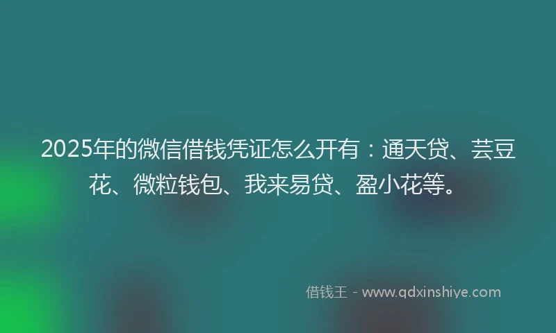 2025年的微信借钱凭证怎么开有：通天贷、芸豆花、微粒钱包、我来易贷、盈小花等。