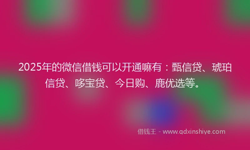 2025年的微信借钱可以开通嘛有:甄信贷、琥珀信贷、哆宝贷、今日购、鹿优选等。