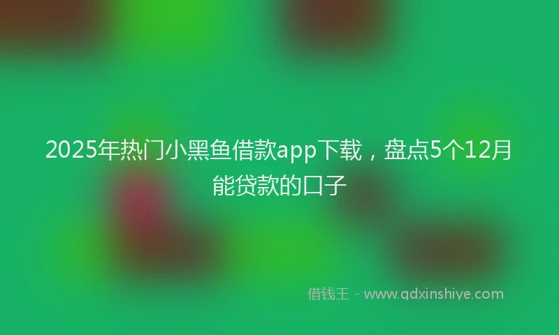 2025年热门小黑鱼借款app下载，盘点5个12月能贷款的口子