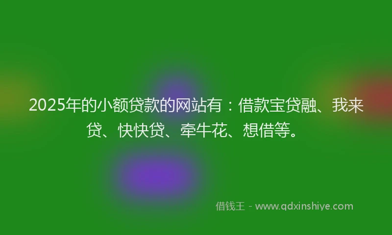 2025年的小额贷款的网站有：借款宝贷融、我来贷、快快贷、牵牛花、想借等。